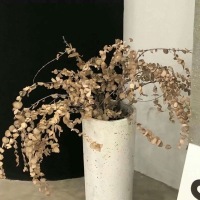 Furry绘画光影解析FurryQQ群